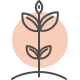A simple line drawing of a plant with two leaves and a bud, set against a large, pale orange circle background, symbolizing growth or nature.